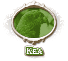 Colour - Kea