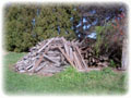 old fence posts